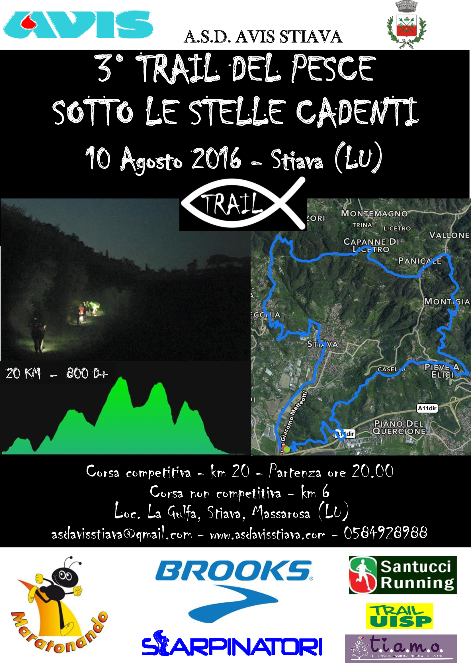 Trail del pesce (in notturna) Trail del pesce (in notturna)